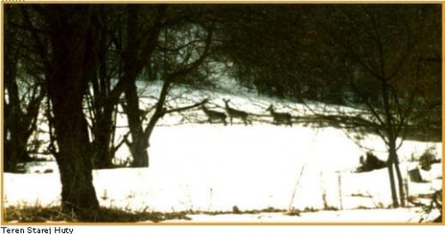 http://images21.fotosik.pl/214/ba3ad892f2459549med.jpg