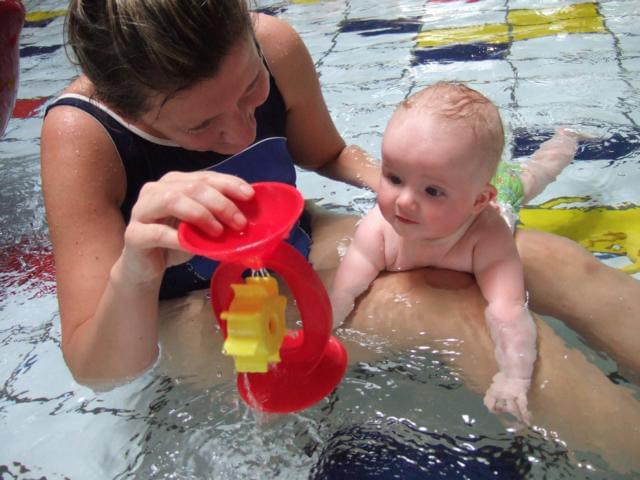 Bild