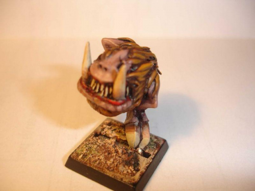 Obrazek