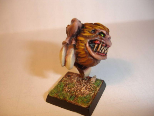 Obrazek