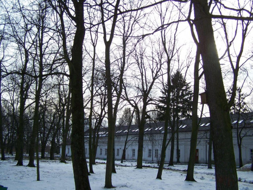 Park Radziwiła