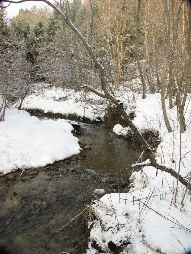 Bieszczady