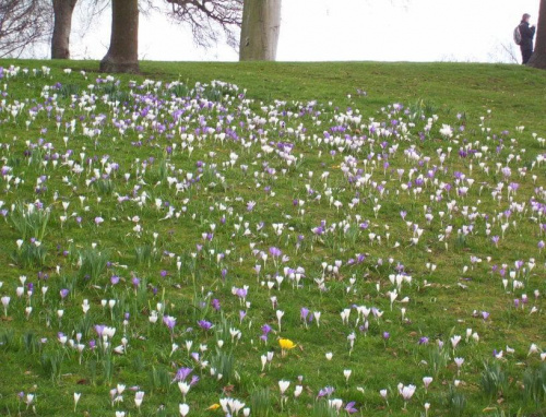 by tak było w naszym parku #wiosna #Koluszki