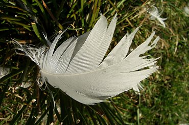 #jezioro #woda #piórka #ludzie