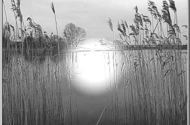 wiosenny spacer nad kanałem #szuwary #woda #twórcze #inaczej #spacer #Gdańsk #przeróbki