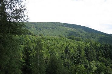 Magura (1109 m.) ze szlaku Karkoszczonka - Szczyrk Biła #góry #Beskidy #BeskidŚląski #Szczyrk