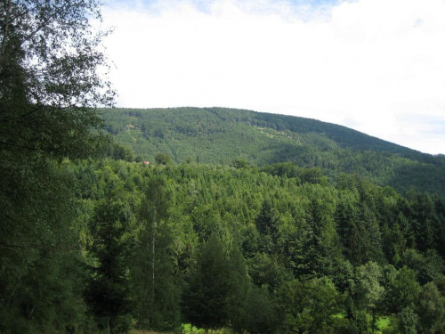 Magura (1109 m.) ze szlaku Karkoszczonka - Szczyrk Biła #góry #Beskidy #BeskidŚląski #Szczyrk