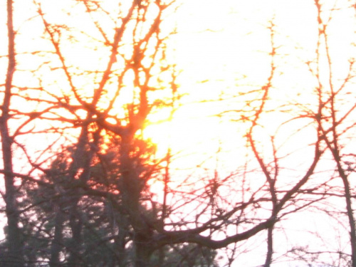 18.02.2007 - PUSZCZA