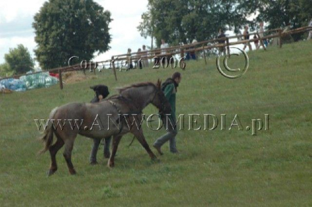 Inscenizacja Bitwy pod Grunwaldem 15.07.2006r.
www.ANWOMEDIA.pl