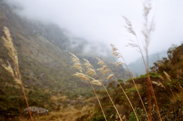 sierra nevada de merida, laguna coromoto 3200 m