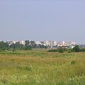 Moje miasto 2