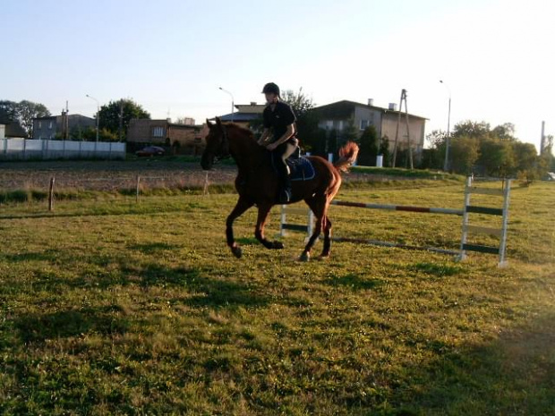 Trening na Kamionce-Mikołów