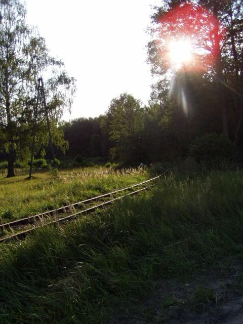 Kolej wąskotorowa - Starachowice