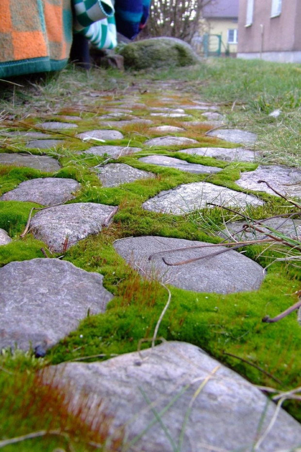 #kamienie #kamyczki #ogród #bruk #wybrukowane #przyroda #kapcie #zielone #mech #MińskMazowiecki #mińsk