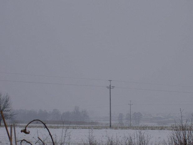 W Brzeźnie. Śnieg wali, wieje, zimno, a ja fotki szczelam. Wiem, troche późno na śnieg ;)