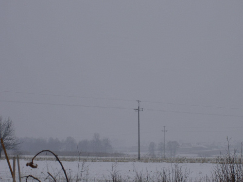 W Brzeźnie. Śnieg wali, wieje, zimno, a ja fotki szczelam. Wiem, troche późno na śnieg ;)