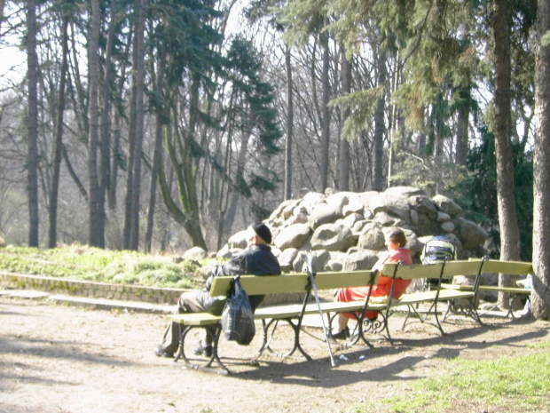 PARK SKARYSZEWSKI