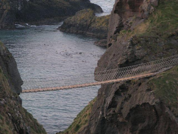 79 Carrick-a-rede