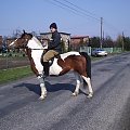 Piotr C. ze swoim koniem ( Majką ) na Ul. Naczysławskiej w Długomiłowicach #zwierzęta #koń #konie #JazdyKonne #fajne #zdjęcie #Długomiłowice