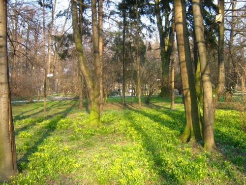 Park im. T. Kościuszki
25.03.2007