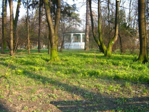 Park im. T. Kościuszki
25.03.2007