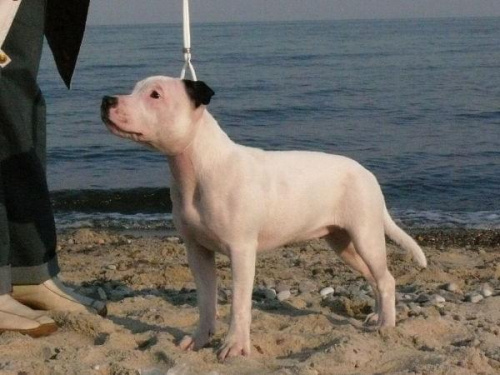 Rewa II 25 marZEC
