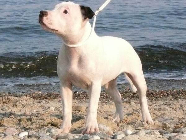 Rewa II 25 marZEC