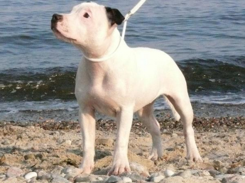 Rewa II 25 marZEC