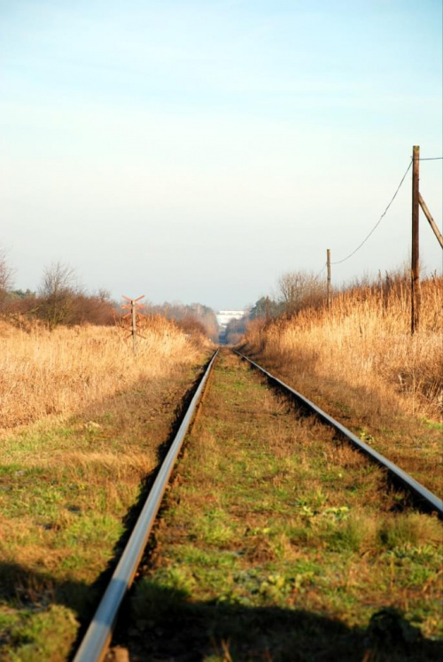 1 częśc zdjęć. wiec wszystkich na nich nie ma;)