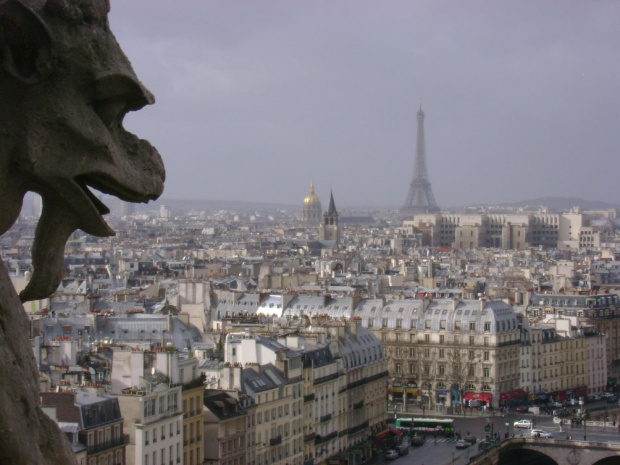 widok z Notre Dame