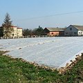 Plantacja truskawek w Zdunkowie #Zdunków #truskawki #plantacja #pole #uprawa