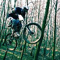 Lekki Freeride po zawodach "DH Trupi Las" #Romo