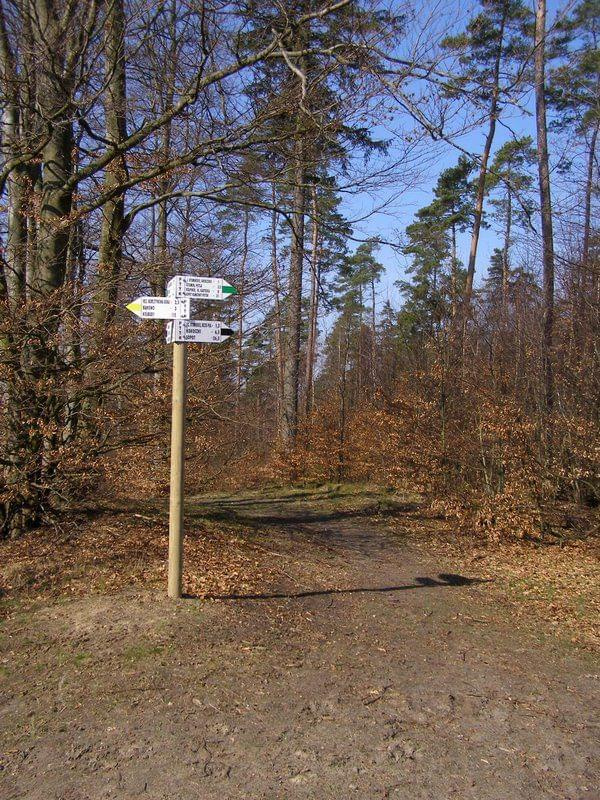 Fotorelacja z wycieczki rowerowej po Szlaku Bursztynowym z GRT w okolicach Gdańska