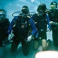Diving at temple reef doing my Avanced Open water course #diving #Egipt #egzotyka #fauna #flora #gady #WielkiBłękit #morze #MorzeCzerwone #natura #nurkowanie #PodWodą #płazy #przyroda #rafa #ryba #ryby #snorkling #snurkowanie #ssaki #woda