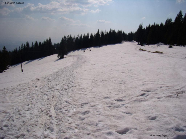 Rozejście szlaków zielonego ( w lewo ) i żółtego ok. 15 min od schroniska