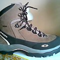 Salomon Alp 7 GTX