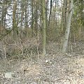 Gurskien - obecnie kolonia Kotła Dużego