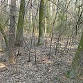 Gurskien - obecnie kolonia Kotła Dużego