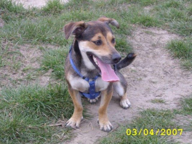 Tobi