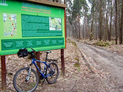 Sciezka dydaktyczna w Palowicach