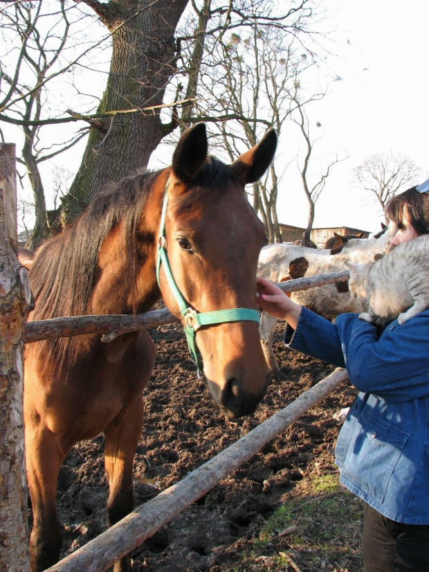 Magnat #Fundacja #Tara #Nieszkowice #Scarlet