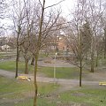 Park przy ulicy Żeromskiego #Sosnowiec #Park