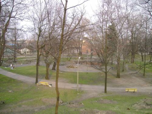 Park przy ulicy Żeromskiego #Sosnowiec #Park