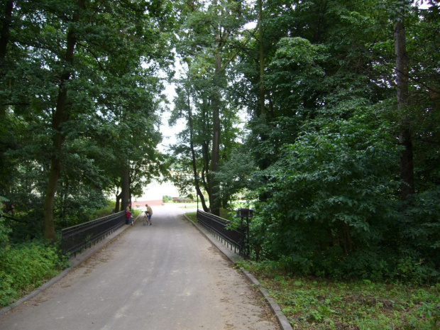 Długomiłowice - droga do parku. Na zdjęciu widoczny mostek. #Długomiłowice #park #mostek #drzewa #widok #fajne #natura #przyroda