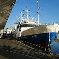 Port Rybacki w Cuxhaven