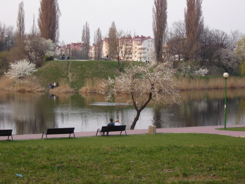 Wiosna w parku..