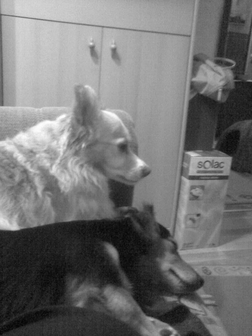 chłopaki black&whit