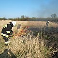 Dzisiaj t.j. 12.04.2007 ok. godziny 16.00 zostaliśmy, zadysponowani do pożaru suchej trawy w miejscowości Nowe Kolnie. Spaleniu uległy nieużytki rolne, o powierzchni ok. 3ha na terenie zalewowym, przy rzece Odra. Po powrocie do remizy, po ok. 5 minutac...