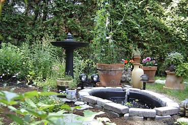 #Garden #Plant #Plants #Kwiatki #Kwiatek #Tree #Lead #Flora #Grass #Private #Tala #Nature #Wilderness #Yard #Pond #Fountain #begonia #tulip #seed #seedling #dirt #meditation #meditative