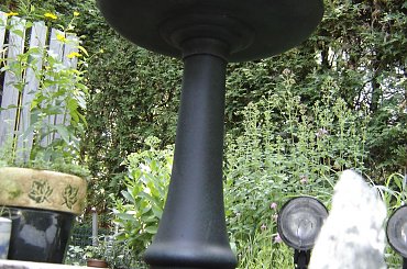 #Garden #Plant #Plants #Kwiatki #Kwiatek #Tree #Lead #Flora #Grass #Private #Tala #Nature #Wilderness #Yard #Pond #Fountain #begonia #tulip #seed #seedling #dirt #meditation #meditative